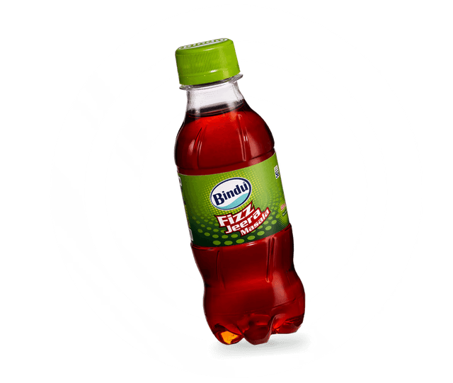 Bindu Logo